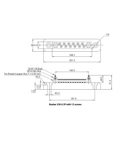 Jeu de barres 250A 2P+12 cover